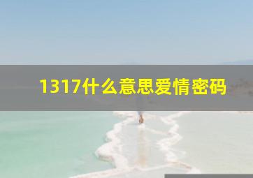 1317什么意思爱情密码