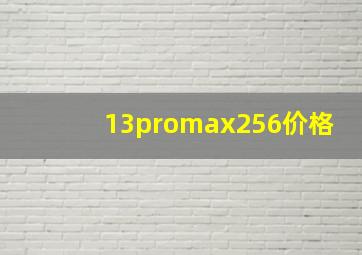 13promax256价格