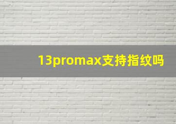 13promax支持指纹吗