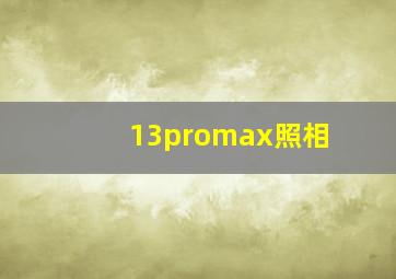 13promax照相