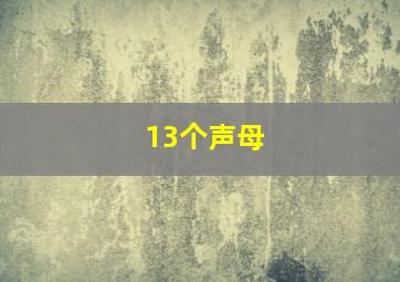 13个声母