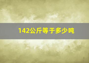 142公斤等于多少吨