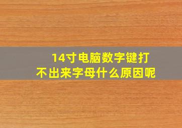 14寸电脑数字键打不出来字母什么原因呢