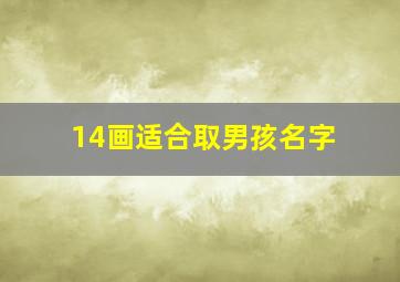 14画适合取男孩名字