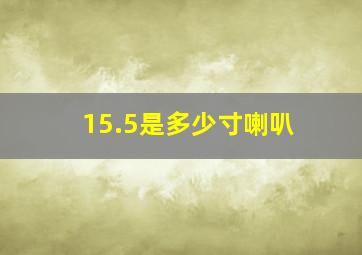 15.5是多少寸喇叭