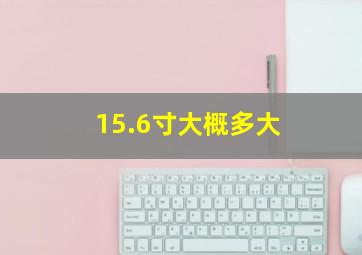 15.6寸大概多大