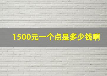 1500元一个点是多少钱啊