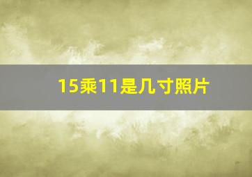 15乘11是几寸照片