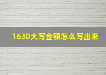 1630大写金额怎么写出来