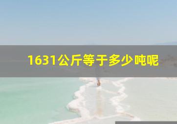 1631公斤等于多少吨呢