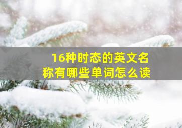 16种时态的英文名称有哪些单词怎么读