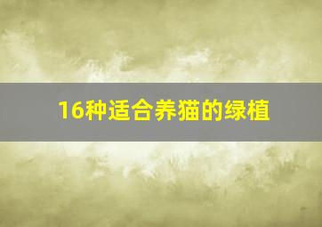 16种适合养猫的绿植