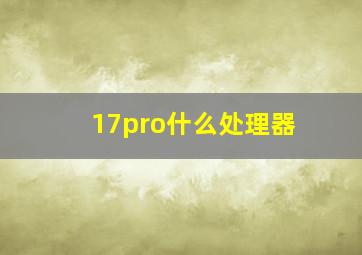 17pro什么处理器