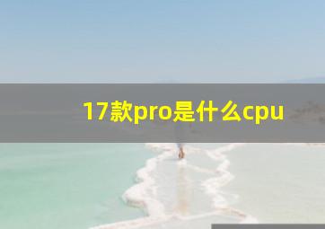 17款pro是什么cpu