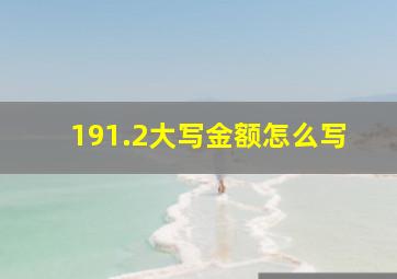 191.2大写金额怎么写