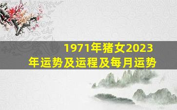 1971年猪女2023年运势及运程及每月运势