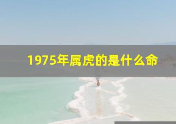 1975年属虎的是什么命