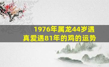 1976年属龙44岁遇真爱遇81年的鸡的运势