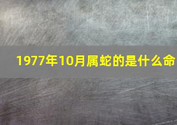 1977年10月属蛇的是什么命