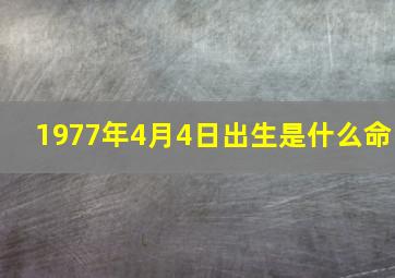 1977年4月4日出生是什么命