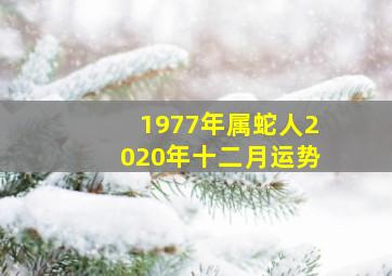 1977年属蛇人2020年十二月运势