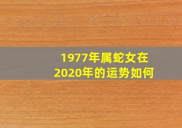 1977年属蛇女在2020年的运势如何