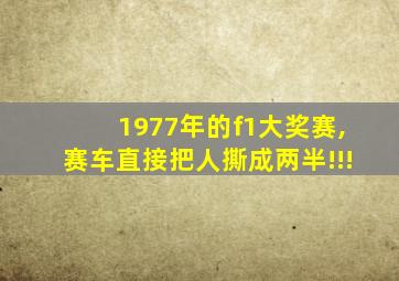 1977年的f1大奖赛,赛车直接把人撕成两半!!!