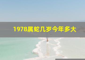 1978属蛇几岁今年多大