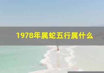 1978年属蛇五行属什么