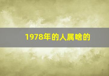 1978年的人属啥的