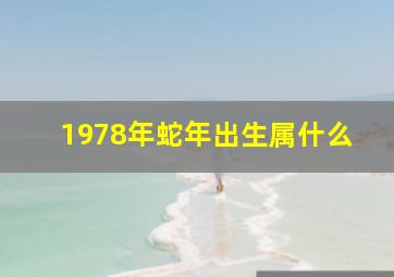 1978年蛇年出生属什么