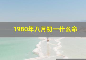 1980年八月初一什么命