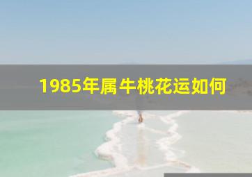 1985年属牛桃花运如何