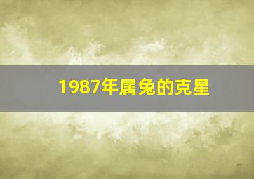 1987年属兔的克星