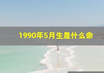 1990年5月生是什么命