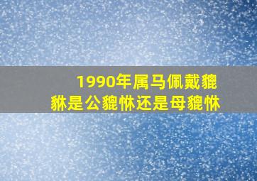 1990年属马佩戴貔貅是公貔恘还是母貔恘