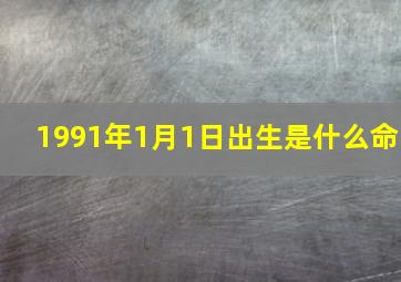 1991年1月1日出生是什么命