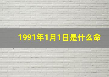 1991年1月1日是什么命