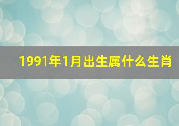 1991年1月出生属什么生肖