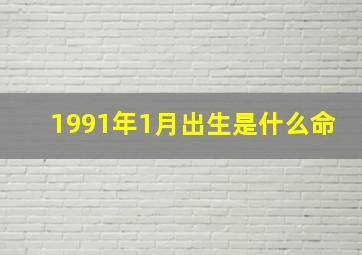 1991年1月出生是什么命