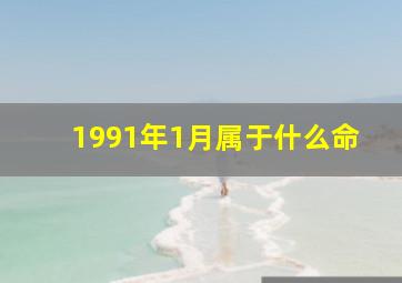 1991年1月属于什么命