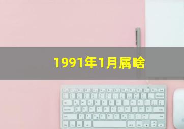 1991年1月属啥