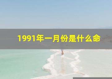 1991年一月份是什么命