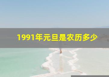 1991年元旦是农历多少