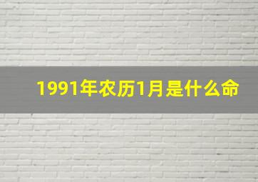 1991年农历1月是什么命