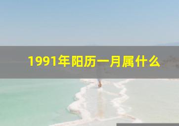 1991年阳历一月属什么