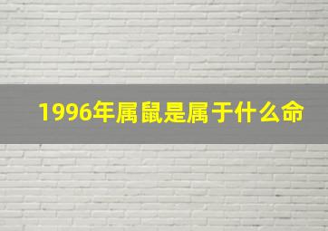 1996年属鼠是属于什么命