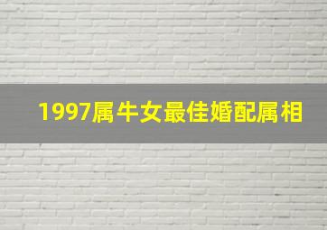 1997属牛女最佳婚配属相