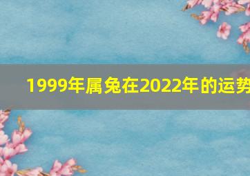 1999年属兔在2022年的运势