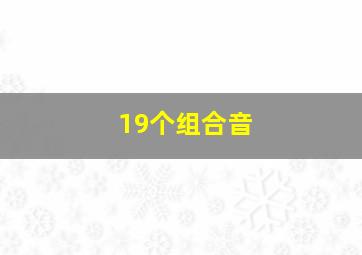 19个组合音